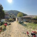 낙원별방