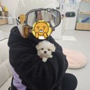 명품 셀케어샵