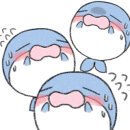 웨일실용음악학원