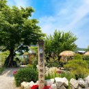 도마산초등학교 | 파주 벽초지수목원 식물카페 피우리하우스 완전 좋아요♡