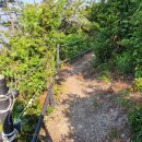 코델리아 민박 이미지