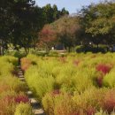 모모농장 이미지