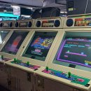 스피드게임랜드 이미지