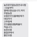 늘푸른농장2 네이버블로그