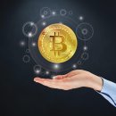 국세청 세금포인트 할인쇼핑몰 완벽 활용법 | 사용처·할인율·이용방법 총정리