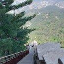 캐리비안민박 이미지