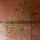 아랫목김밥 | 서울근교 촌캉스 숙소 양평 한옥독채펜션 한옥더원