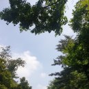 남산어린이집 이미지