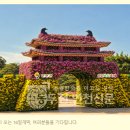 연천군, 오는 16일 전곡리유적서 ‘제8회 연천국화축제’ 개막 이미지