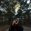 메이지 | 도쿄 여행 4일차, 메이지 신궁 후기 및 소니 A6000카메라