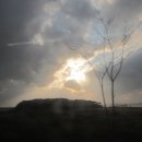 새울신협 이미지