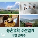 맘스터치 벌교점 | 농촌유학 주간일기 8월 넷째주 / 개학 / 벌교 / 강진 / 한자 5급 시험 / 영화 빅토리