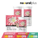 에버핏 쇼핑하우