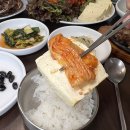 콩이랑두부랑 이미지