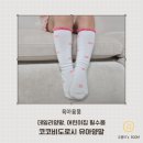 도로시 | 아동 미끄럼방지양말 추천 데일리양말로 좋은 코코비도로시 실착 후기