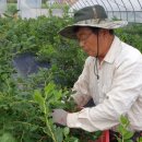 태천농장 이미지