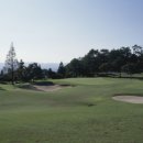 늘푸른 골프 이미지