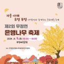 무정면 은행나무 축제 | 담양 무정체육공원 무정면 은행나무축제 메타쉐콰이어 드라이브코스