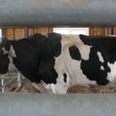 신동방농장 이미지