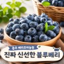 🎯 충주 산척면 베리조아농원 친환경 블루베리! 당도 폭발이라 아이들이 더 잘 먹네요
