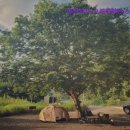 북면394 | [가평 캠핑장 추천] 메타피아 오래캠핑장 &amp; 카라반 가평 메타피아 오래캠핑장, 자연 속 힐링 공간