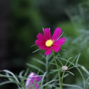 미류네 농장 이미지