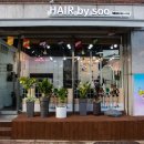 헤어바이수(Hair by Soo) - 남동구 | 헤어바이수(Hair by Soo)