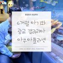 갤러리아백화점 앞 | 광교 아쿠아플라넷 갤러리아백화점 6개월 아기랑 다녀온 후기, 예약 할인 정보