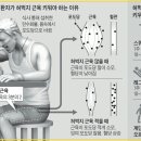 영건핏 이미지