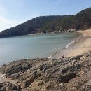 발포해수욕장 이미지