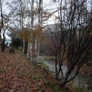 샤인펜션 이미지