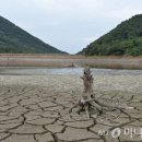 수로광고 이미지