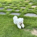 그린블랑 이미지