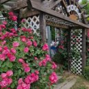 까치섬펜션 이미지