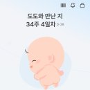 (주)시호비전분당 | 임신 34주 차 진료 분당제일여성병원ㅣ34주차 증상, 후기, 비용, 자궁 수축, 자궁경부 길이