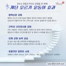 영진체형관리