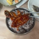 수미정알찬꽃게 | [안면도 찐 맛집] 수미정본가 1박2일 촬영지 게국지,간장게장,양념게장,대하장 세트 후기