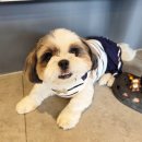 함께오래동물병원 이미지