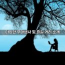 [야간]행복한 꽃꽂이 | 여의도 봄꽃축제 즐기기 좋은 봄맞이 명소 안내