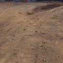 우리들부동산공인중개사사무소 이미지