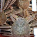 창하회식당 이미지