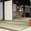 그린민박 이미지