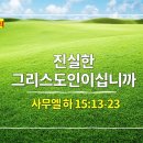 큐티하랑 이미지