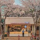 카페미뇽 합정점