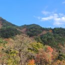 리투의원 이미지