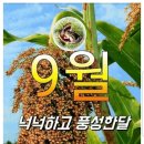 9월의 첫날 일요일 이미지