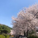 대발령 1쉼터 이미지