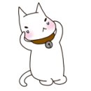 쉬크헤어 이미지