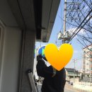 대행목장 1 이미지