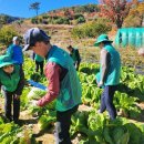 신원면사무소 이미지